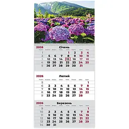 Календар настінний Axent Gardens 3 квартальний 2026 рік (8801-26-6-A)