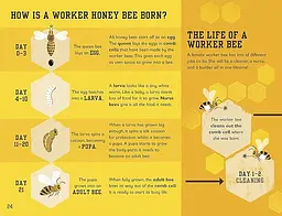 The Bee Book - мініатюра 2