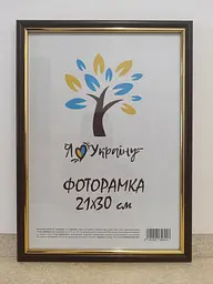 Фоторамка 21Х30, (А4), вишнева із золотою вставкою, 1515-х412, ОРГСКЛО+ДВП                       