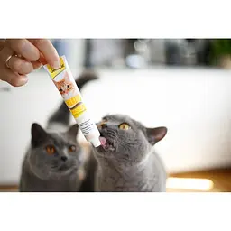 Паста для котів GimCat DUO PASTE Multi-vitamin 12 vitamins with cheese 12 вітамінів і сир, 50 г - мініатюра 8