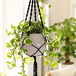 Підвіс Lechuza Macrame Boho чорний 120 см (13899) - мініатюра 4