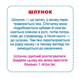 Розумні картки. Моє тіло. 30 карток - - миниатюра 5