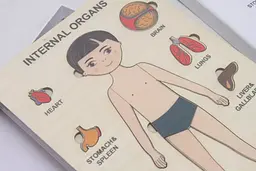 Пазли навчальні Strateg Internal Organs (30349) - мініатюра 3