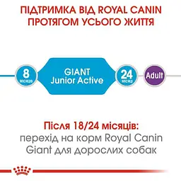 Сухий корм для цуценят гігантських порід від 8 до 24 місяців з підвищеною активністю Royal Canin Giant Junior Active, 15 кг (3042150) - мініатюра 8