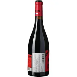 Вино Rino Cabernet Sauvignon AOP Madiran червоне сухе 0.75 л - мініатюра 4