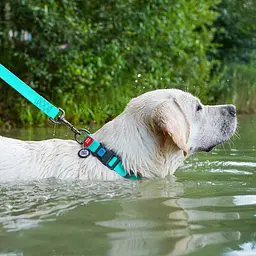 Нашийник для собак водостійкий Waudog Waterproof з QR-паспортом світонакоплювальний пластикова пряжка-фастекс Ш 25 мм Дов - мініатюра 5
