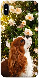 TPU чохол Demsky Flower spaniel для Apple iPhone X (5.8")