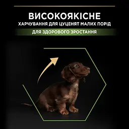 Сухий корм Purina Pro Plan Small & Mini Puppy <1 Healthy Start для цуценят дрібних порід з куркою 3 кг (12272132) - мініатюра 5