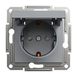 Розетка Schneider Electric ASFORA з кришкою, сталь (EPH3100162)