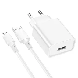 Мережевий зарядний пристрій BOROFONE BA74A Aspirer single port charger set(Micro) білий