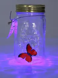 Декоративний нічник Метелик у банці Butterfly Інтерактивний метелик, що пурхає у банці з підсвіткою - мініатюра 2