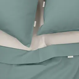 Набір наволочок Cosas Agave 50х70 см агавовий (SetPillow_RanforsAshmint_50) - мініатюра 5