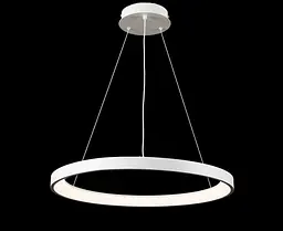 Люстра стельова LED Splendid Ray L2551/580/1, регульована температура світла, білий, сучасний стиль, 40-140 см - мініатюра 4