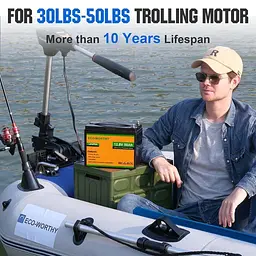 Акумулятор Eco-Worthy LiFePO4 12V (12.8V/50Ah/640Wh) (Eco-Worthy-1250) [164620] - мініатюра 9
