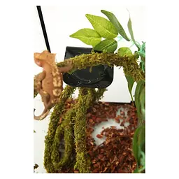 Ліана гнучка з натуральним мохом для тераріуму Repti-Zoo Artificial Moss Vine 1см x 2м (RV0210) - мініатюра 8