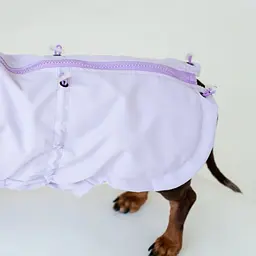 Вітровка для такс Hat-Dog лілова (L/Хлопчик) - мініатюра 3