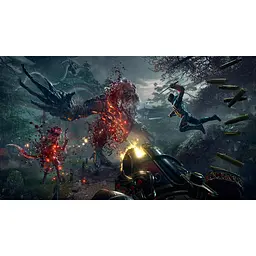 Ключ активації Microsoft Shadow Warrior 2 для Xbox One/Series - мініатюра 4