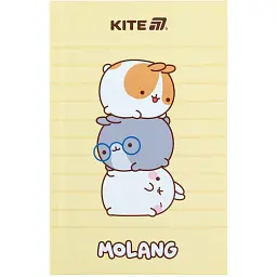 Книга записная Kite Molang ML25-199 А6 80 листов ячейка (ML25-199)