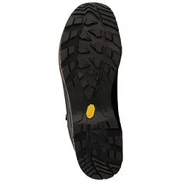 Черевики Lowa Camino Evo GTX 46 Brown (1012-210627-4527-46.0) - мініатюра 3