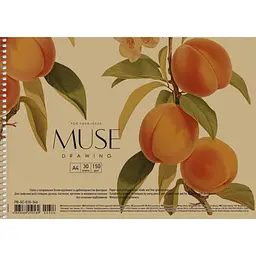 Альбом Muse Drawing на спіралі A4 30 аркушів в асортименті (PB-SC-030-346) - мініатюра 2