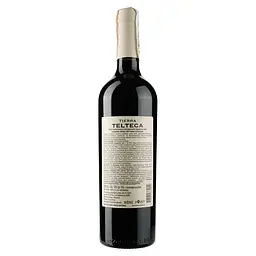 Вино Tierra Telteca Cabernet Franc, сухе, червоне, 12,5%, 0,75 л - мініатюра 2