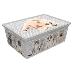 Коробка Qutu Light Box Cats and Dogs 10 л 37х26х14 см белый (LIGHT BOX с/к CATS AND DOGS 10л.)