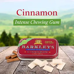 Жувальна гумка Barkleys Sugar Free Gum Xylitol Cinnamon 30г - мініатюра 7