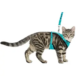 Шлея для котів Trixie Y-harness 39–60 см/10 мм повідець 1 м бірюзова - мініатюра 3