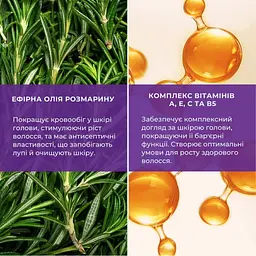 Сироватка для волосся Hydrasence Multi Vitamin Serum 4In1 Розмаринова Для стимуляції росту волосся 50 мл (4823122901132) - мініатюра 4