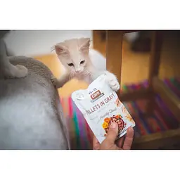 Вологий корм для котів Brit Care Cat pouch 85g (філе качки в соусі) - мініатюра 4