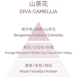 Ароматична свічка Plantes & Parfums Diva Camelia 180 г - мініатюра 3