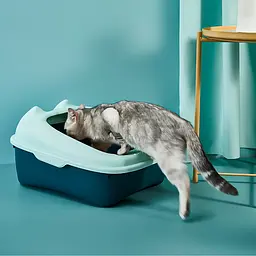 Туалет для котів із лопаткою Derby Plastic Cat Litter Box зелений 51 х 41 х 30 см - мініатюра 4