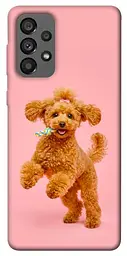 TPU чохол Demsky Happy poodle для Samsung Galaxy A73 5G