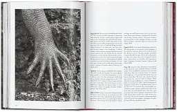 Sebastiao Salgado. Genesis. 45th Edition - мініатюра 7