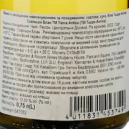 Вино Tierra Antica Sauvignon Blanc біле сухе 0.75 л - мініатюра 3