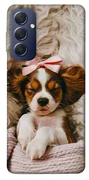 TPU чохол Demsky Sleepy spaniel для Samsung Galaxy M54 5G