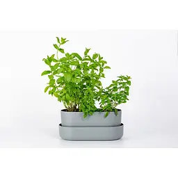 Вазон із піддоном Plastia Tolita, 3,2 л, сірий (1909783020R) - мініатюра 7