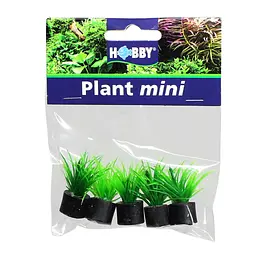 Штучна рослина, набір Hobby Eleocharis mini 1,5x1,5x3см 5 шт. (51548)