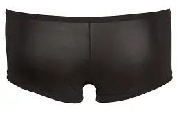 Чоловічі труси Svenjoyment Underwear Men's Pants L чорний - мініатюра 7