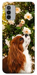 TPU чохол Demsky Flower spaniel для Nokia G42