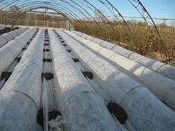 Агроволокно Greentex P-30 1.6х10 м біле (39322) - мініатюра 2