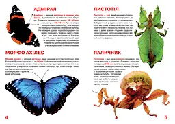 Велика книга Кристал Бук Комахи (F00015511) - мініатюра 2