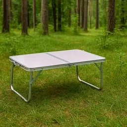 Стіл туристичний Chomik Garden Line HOLMEN 60x40x26,5см складаний білий