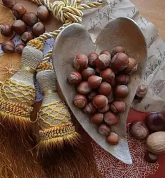 Саджанець Agro-Market Фундук Трапезундський (середній термін дозрівання, перехресне запилення, садити по 2 шт.) 1 шт. в упаковці (24613) - мініатюра 6