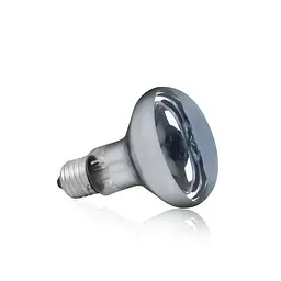 Лампа денного світла Terra Day, 100W Happet, (BN04)