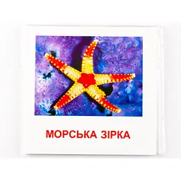 Картки міні Zirka Морські жителі 110х110 мм UA-ENG 72752 - мініатюра 5