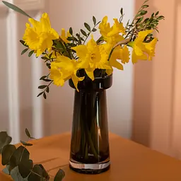 Ваза декоративна скляна Moluna 20 см, чорний Flower Season HP-10-34 - мініатюра 5