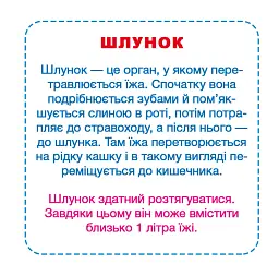 Розумні картки. Моє тіло. 30 карток - мініатюра 5
