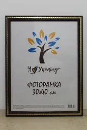 Фоторамка 30х40, вишнева із золотою змійкою, 2416-152-9, СКЛО + КАРТОН                                                                                                                                                    
