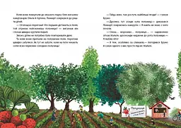 Літо на Бузиновій вулиці - Мартіна Баумбах (С1216002У) - мініатюра 3